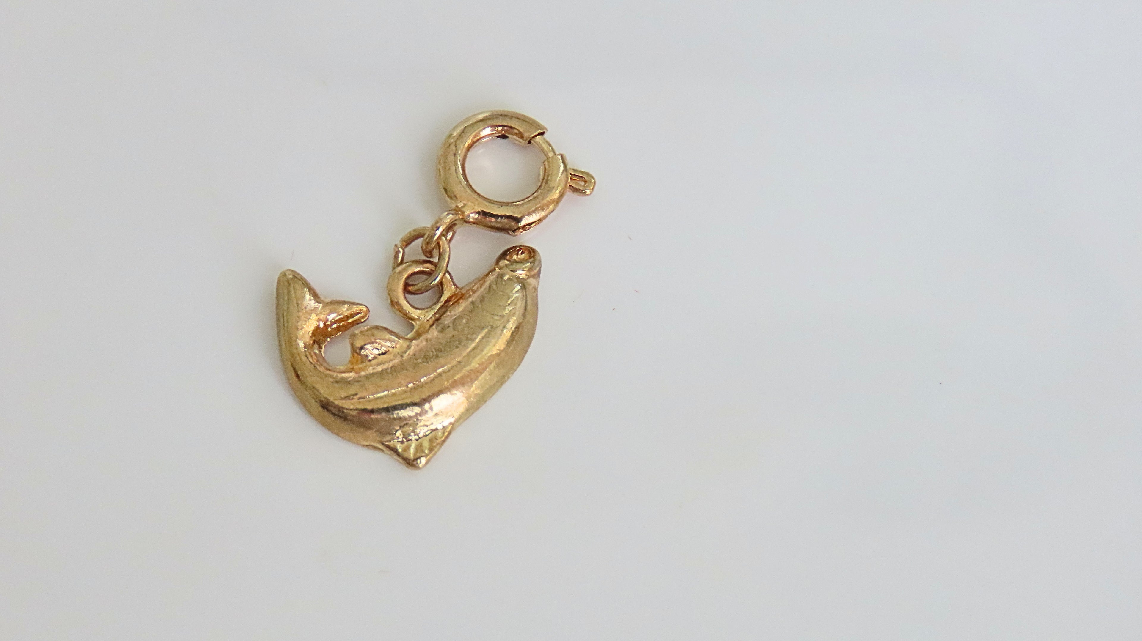 The Fortune River Fish